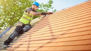 Best Roof Insulation Installation  in Hampton, TN