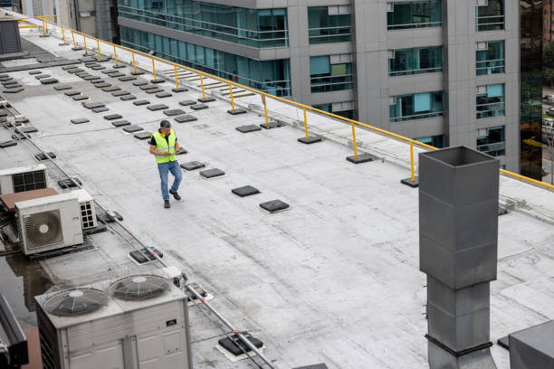 Best Roof Repair  in Hampton, TN