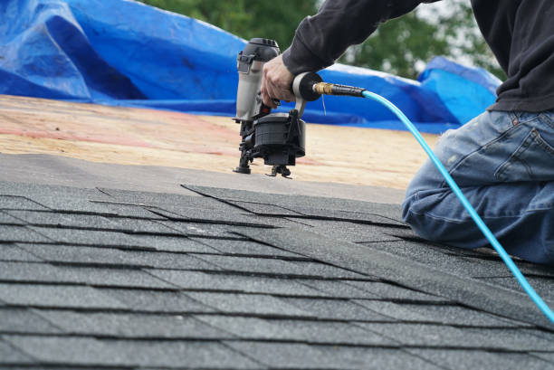 Best Solar Panel Roofing Installation  in Hampton, TN