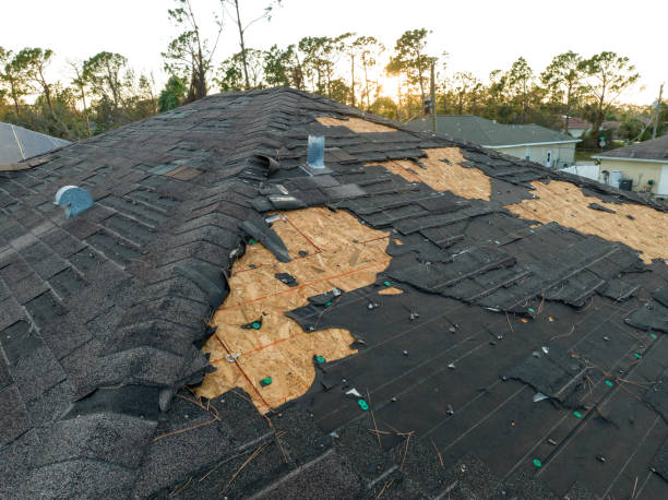 Best Chimney Flashing Repair  in Hampton, TN