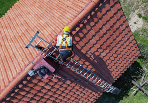 Best Roof Maintenance and Cleaning  in Hampton, TN