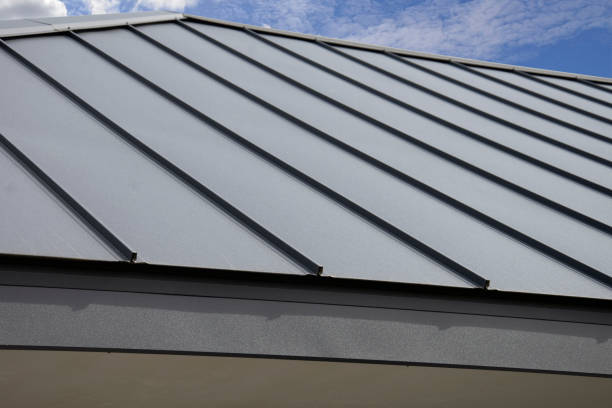 Best Gutter Installation and Repair  in Hampton, TN