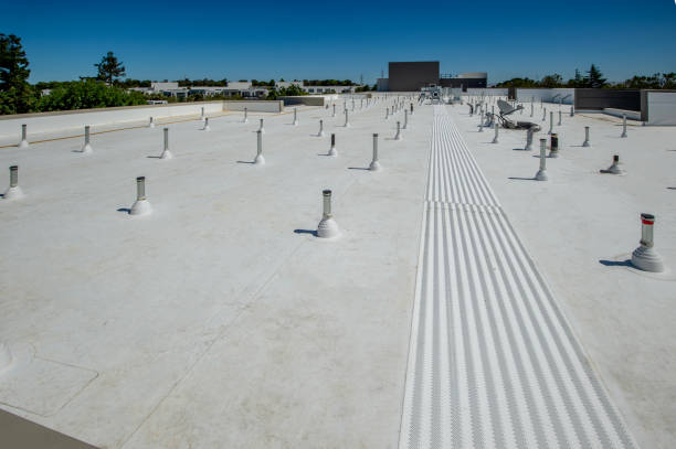 Roof Coating Services in Hampton, TN